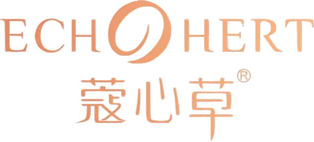 公司成立初期的办公室照片，团队合影