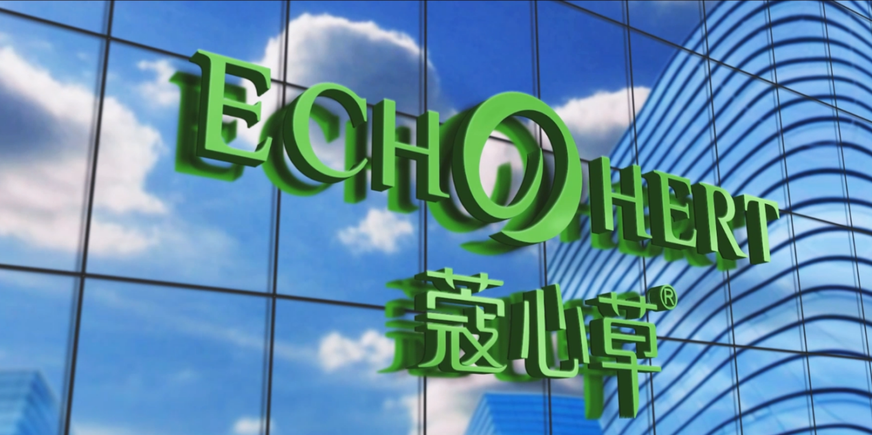 公司成立初期办公环境