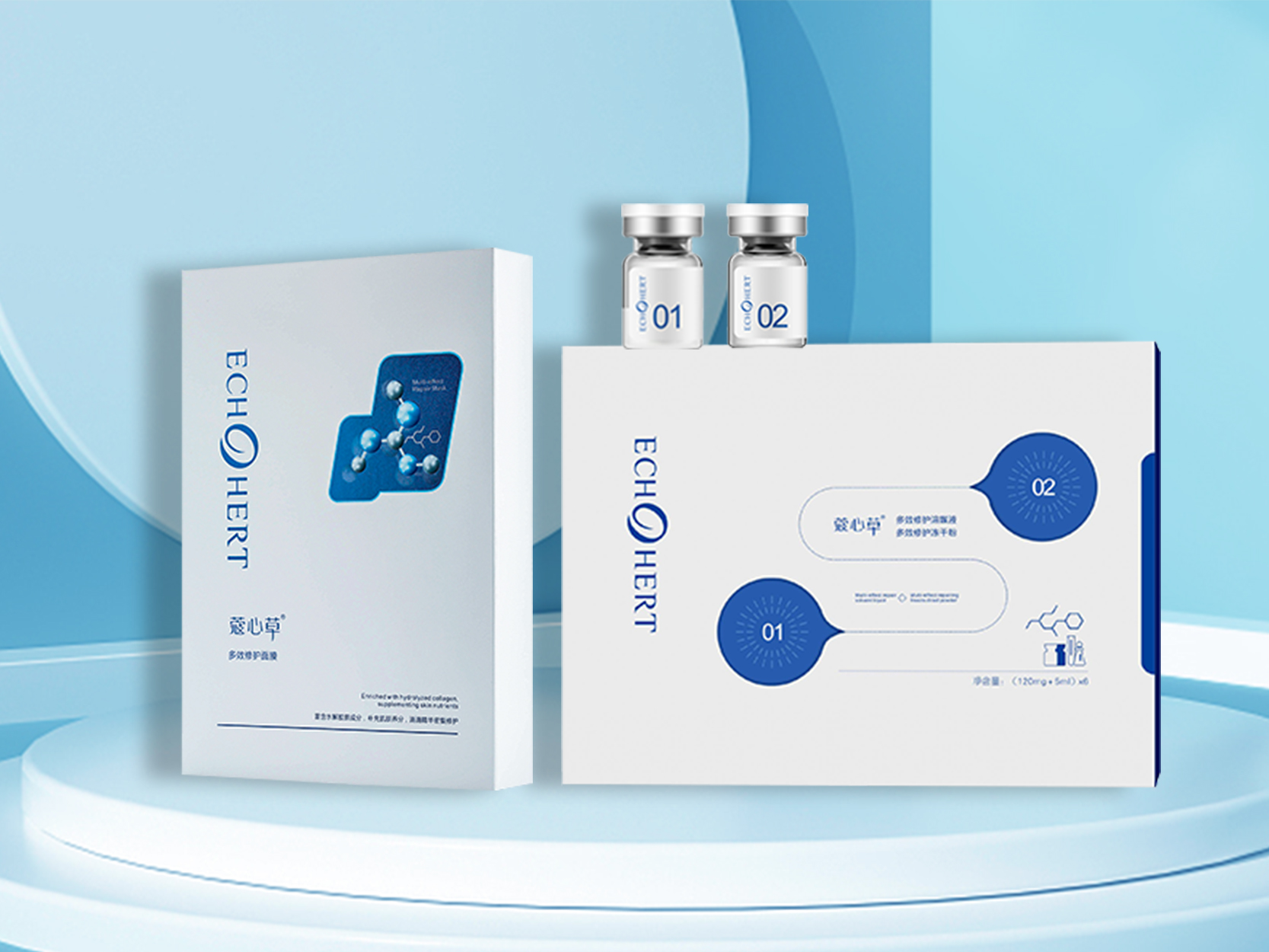 品牌升级发布会，新的品牌形象正式发布