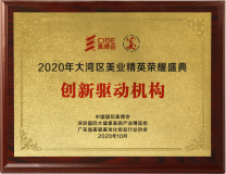 2020年大湾区美业精英荣耀盛典创新驱动机构