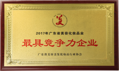 2017年广东省美容化妆品业最具竞争力企业